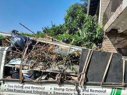 Best Attic Cleanout in Lmerton, PA